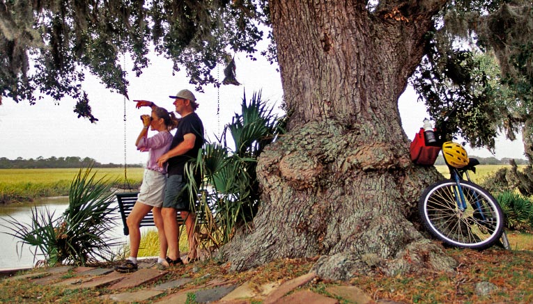 Msgi-charleston-savannah-multisport-11